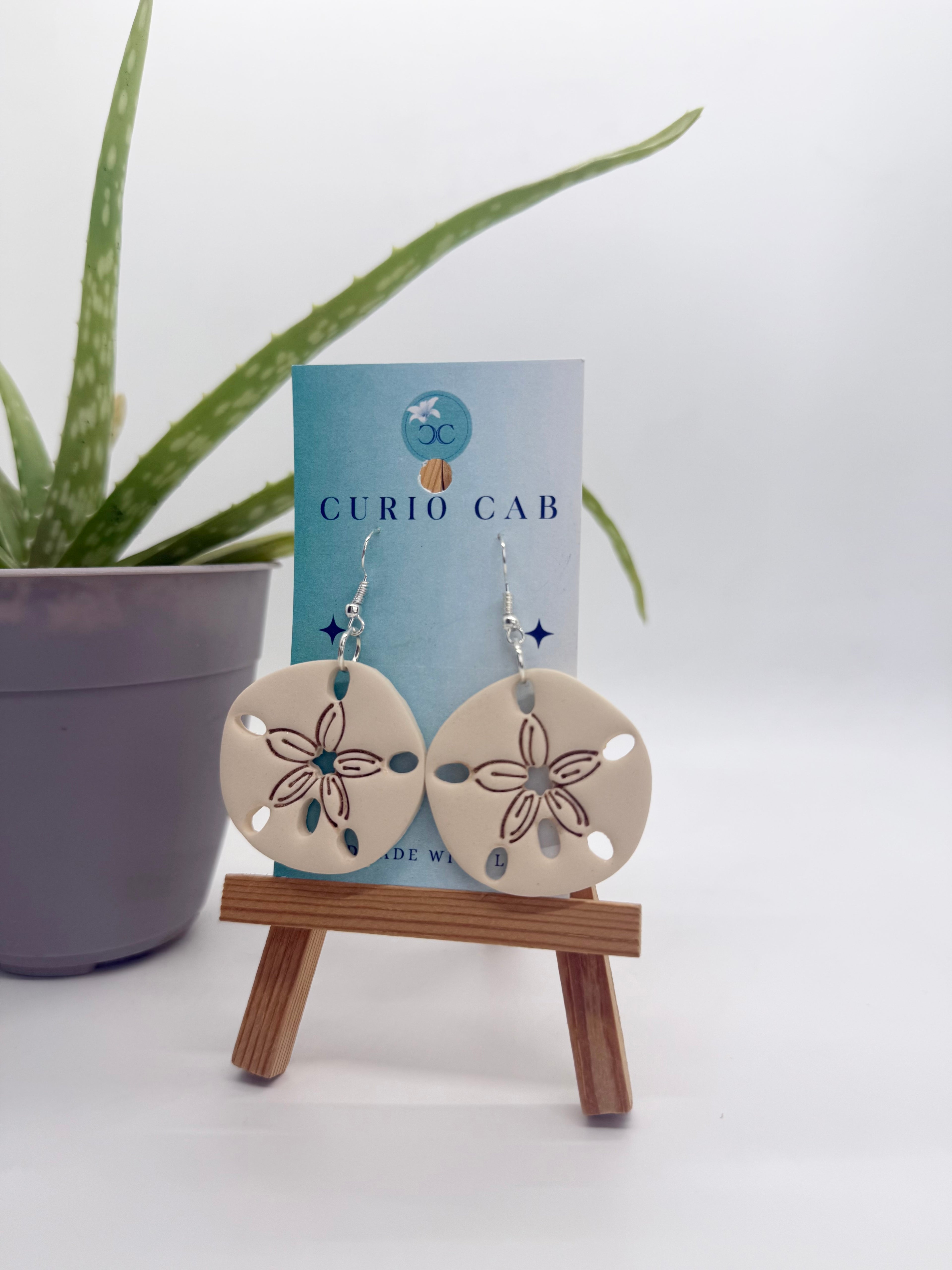 Curio STARTER Monthly Subscription