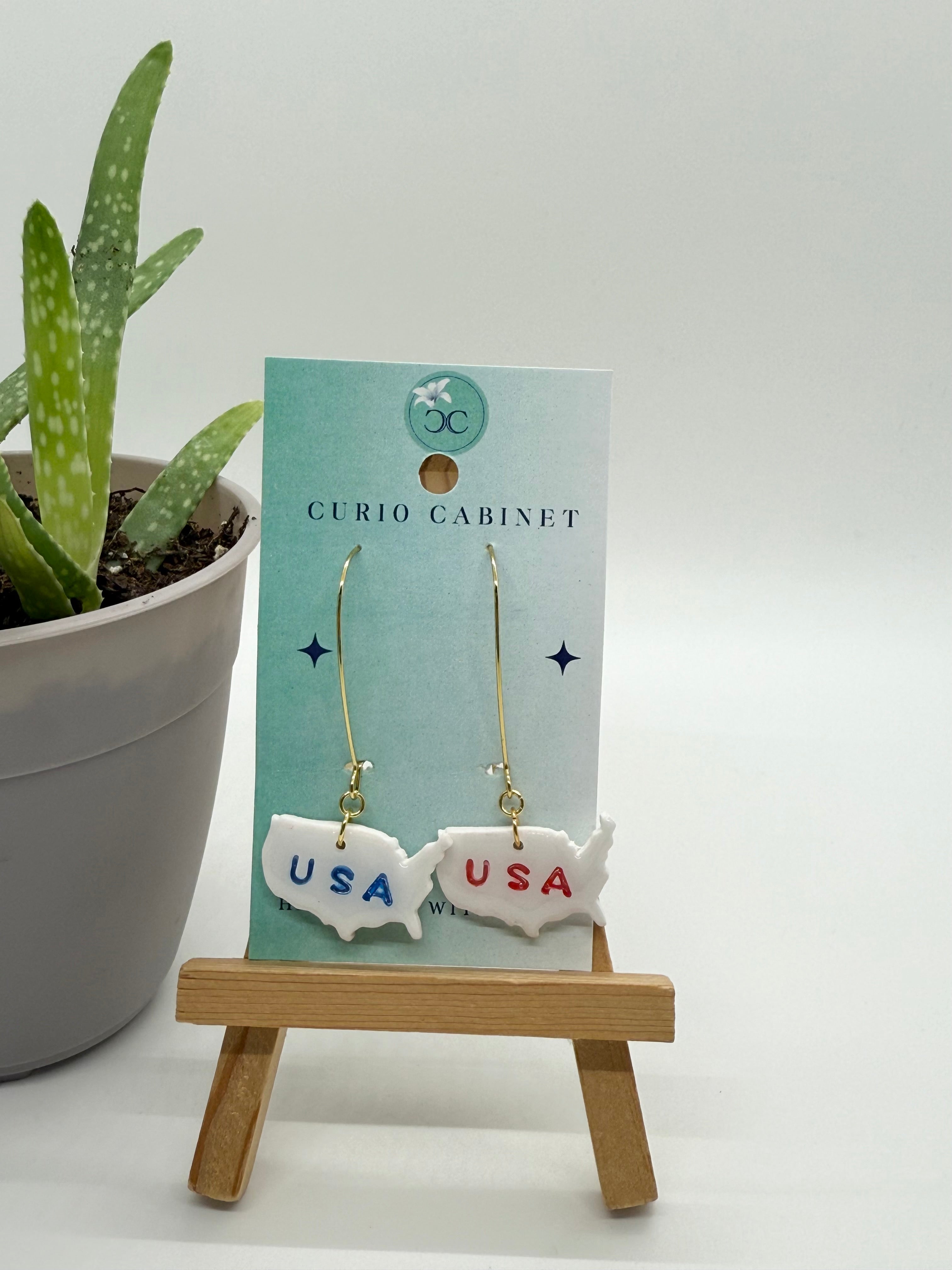 USA Outline - Polymer Clay Earrings