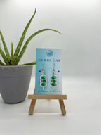 Curio MASTER Monthly Subscription