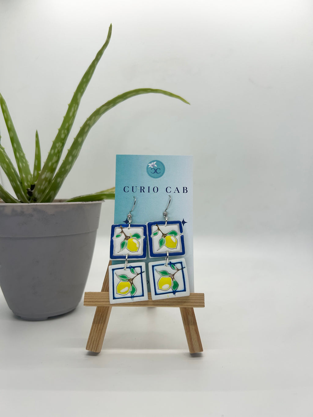 Curio MASTER Monthly Subscription