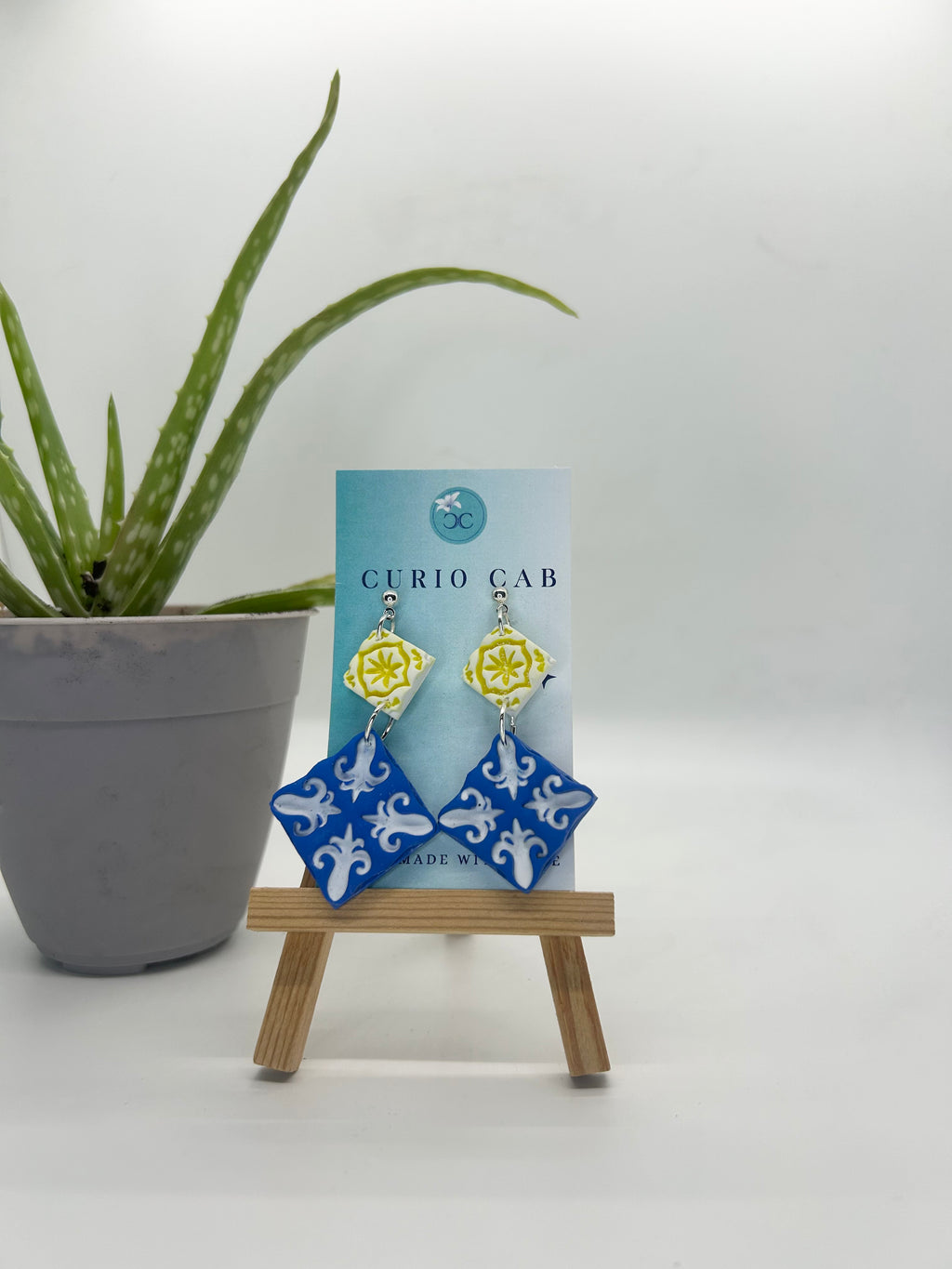 Curio MASTER Monthly Subscription