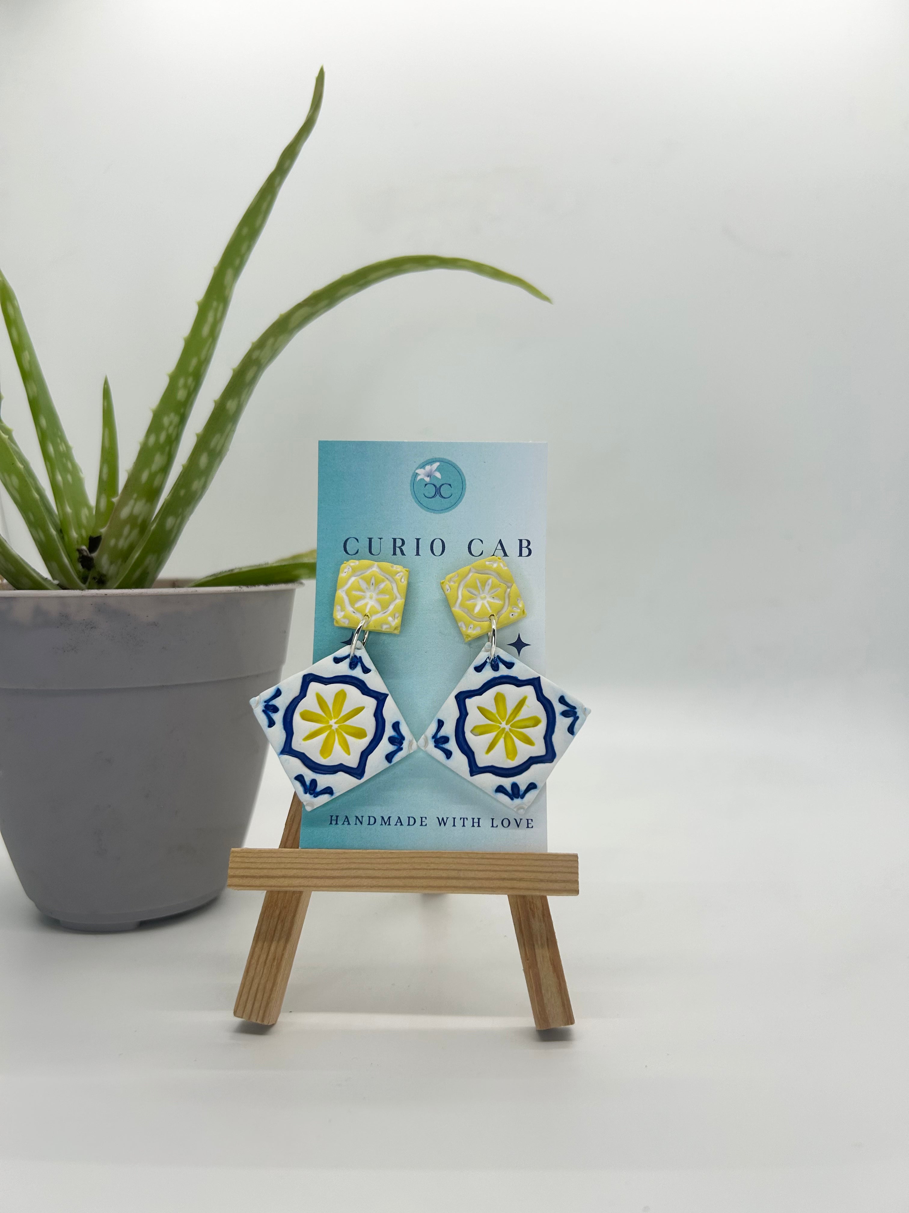 Curio MASTER Monthly Subscription