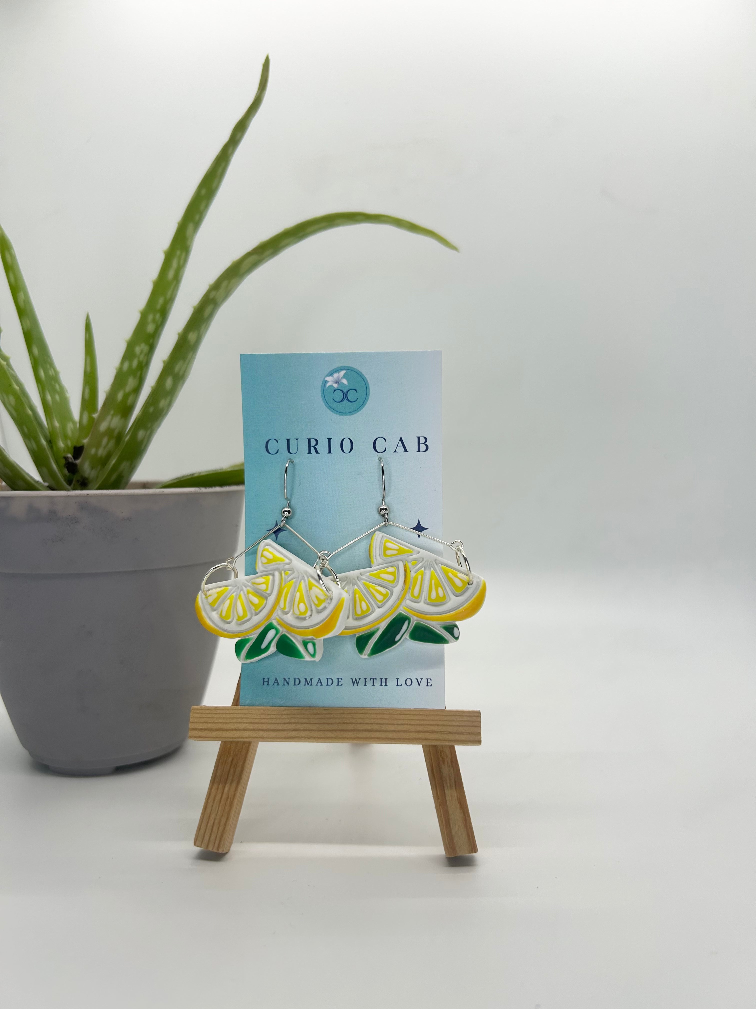 Curio MASTER Monthly Subscription