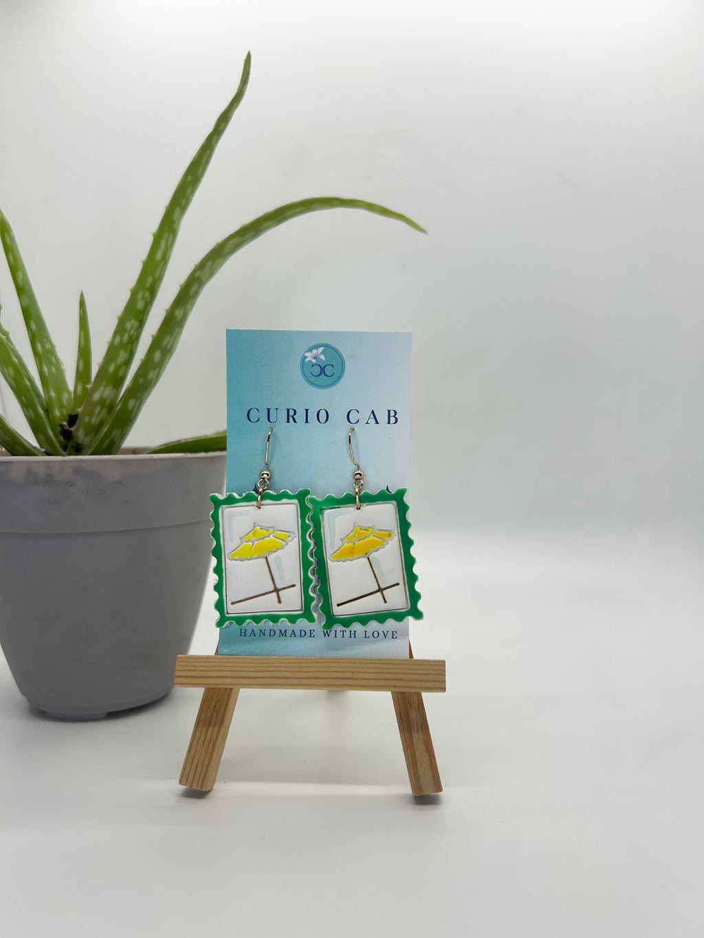 Curio MASTER Monthly Subscription