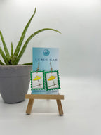 Curio MASTER Monthly Subscription