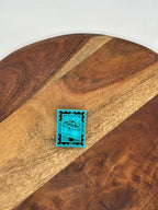 Curio MASTER Monthly Subscription