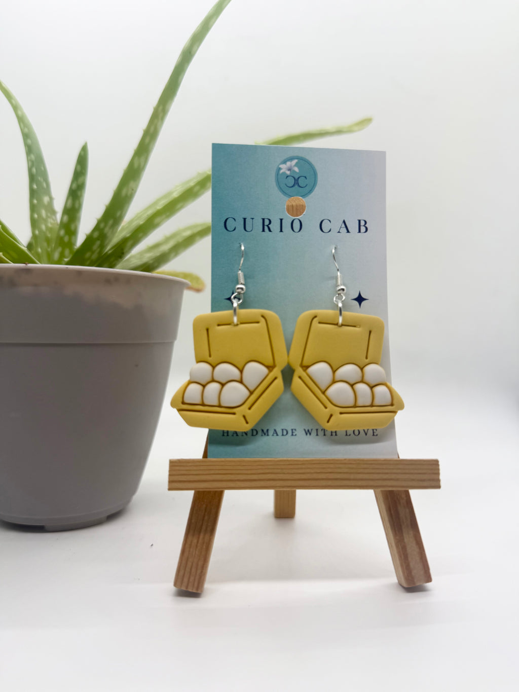 Curio MASTER Monthly Subscription