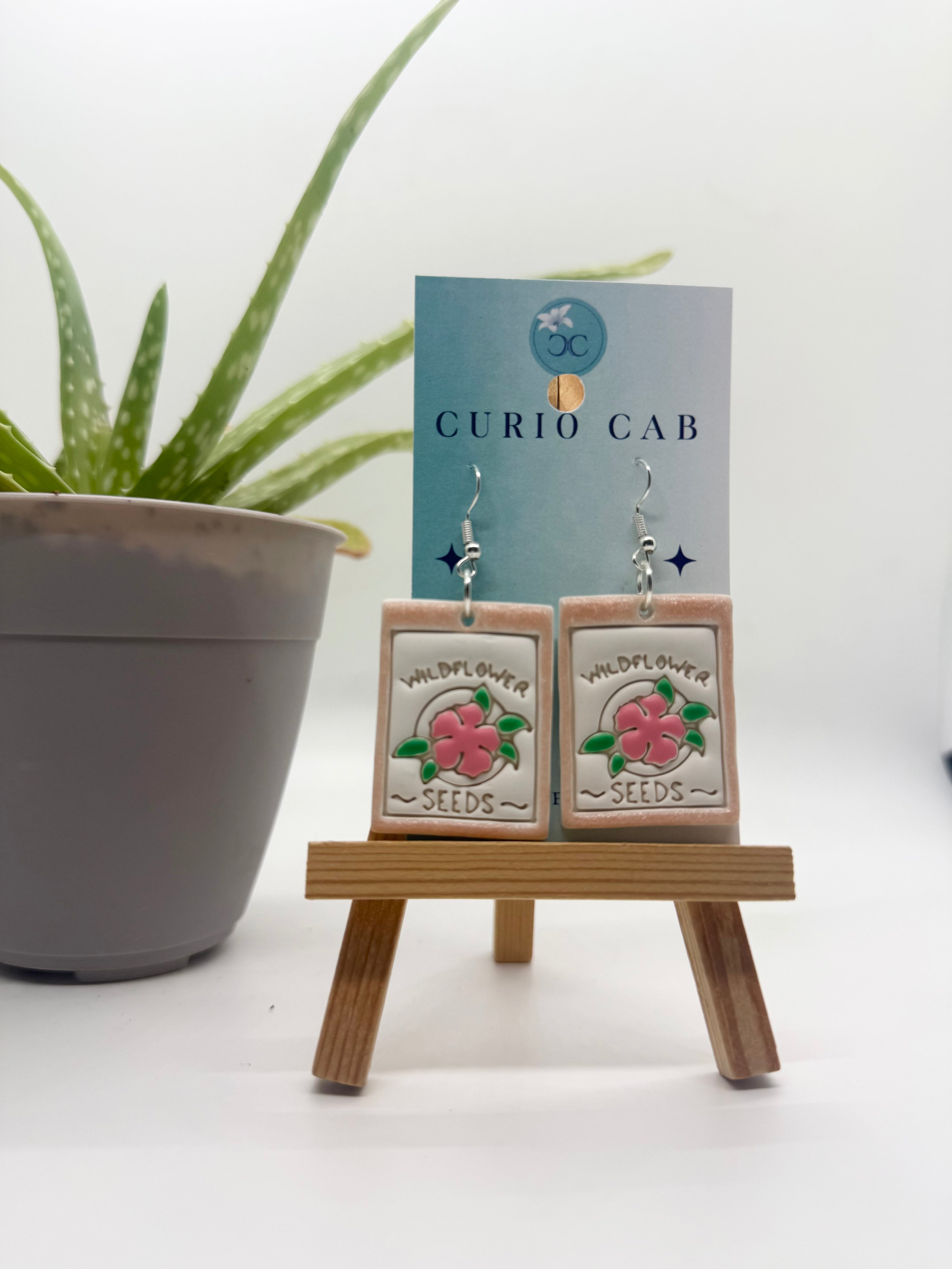 Curio MASTER Monthly Subscription