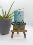 Curio MASTER Monthly Subscription