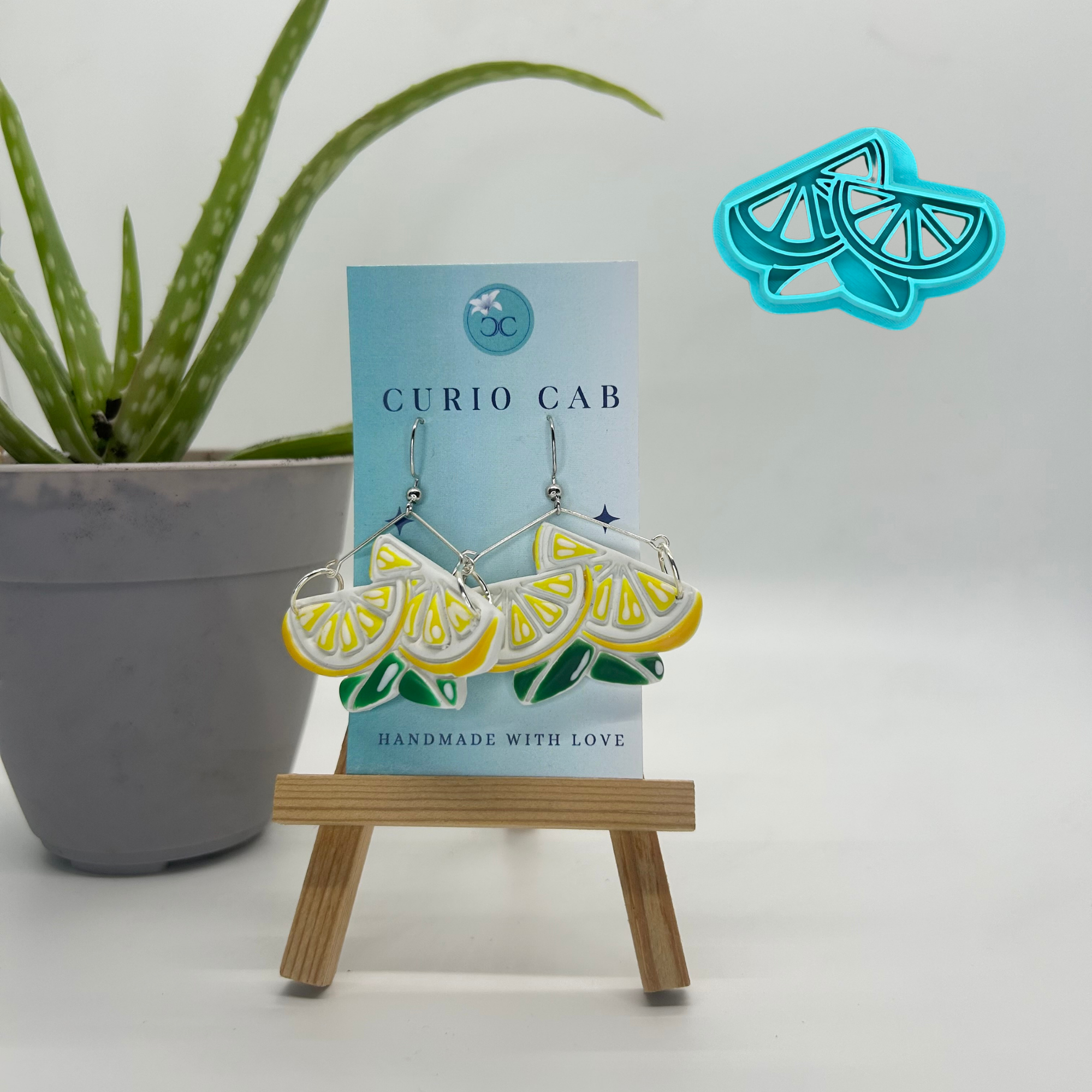 Curio MASTER Monthly Subscription