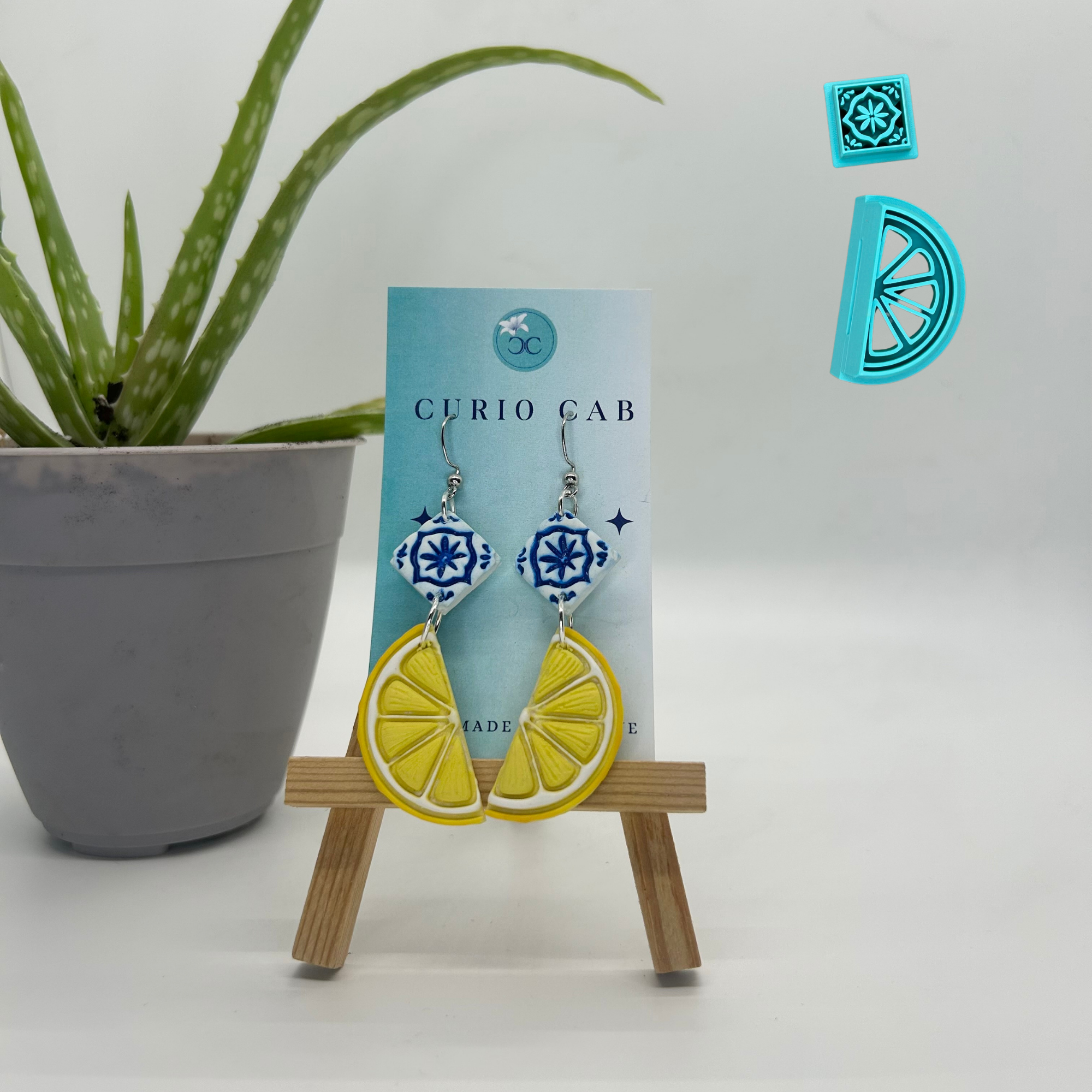 Curio MASTER Monthly Subscription