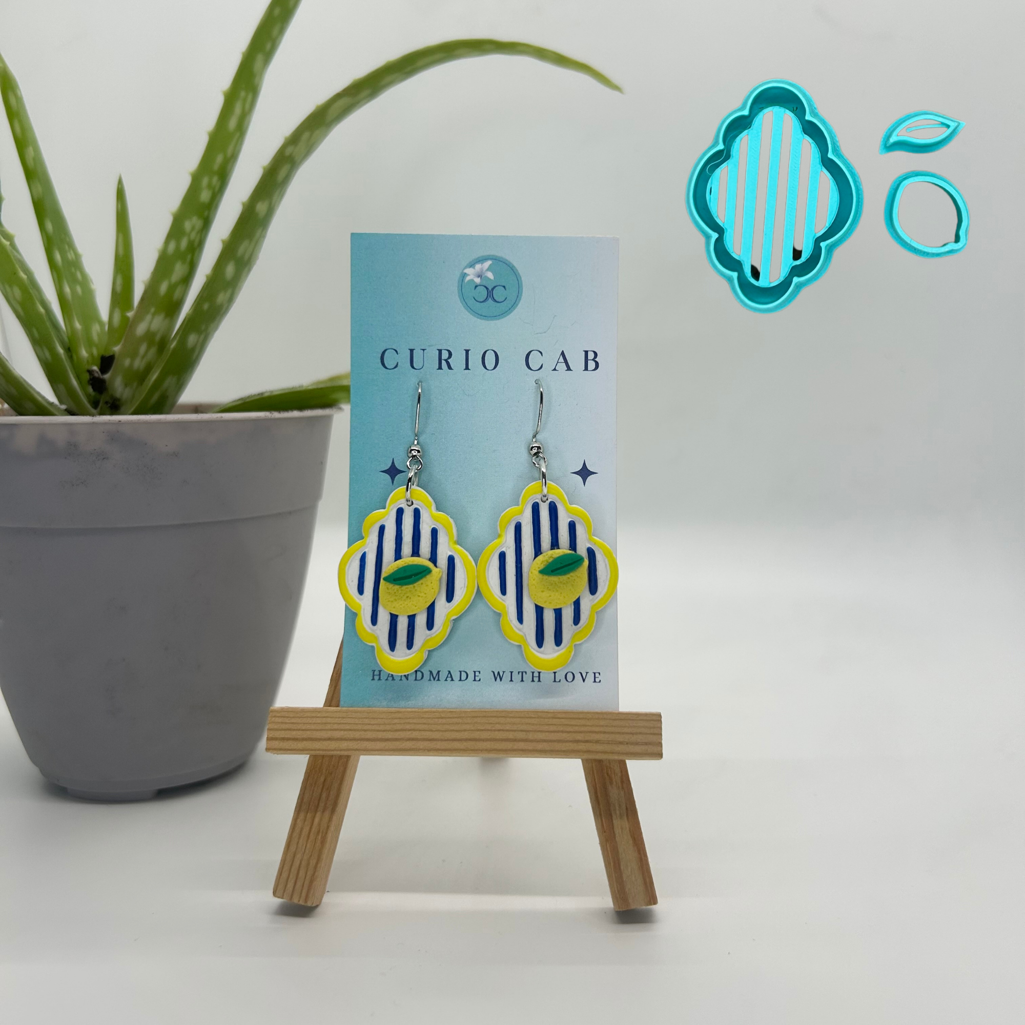 Curio MASTER Monthly Subscription