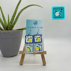 Curio MASTER Monthly Subscription