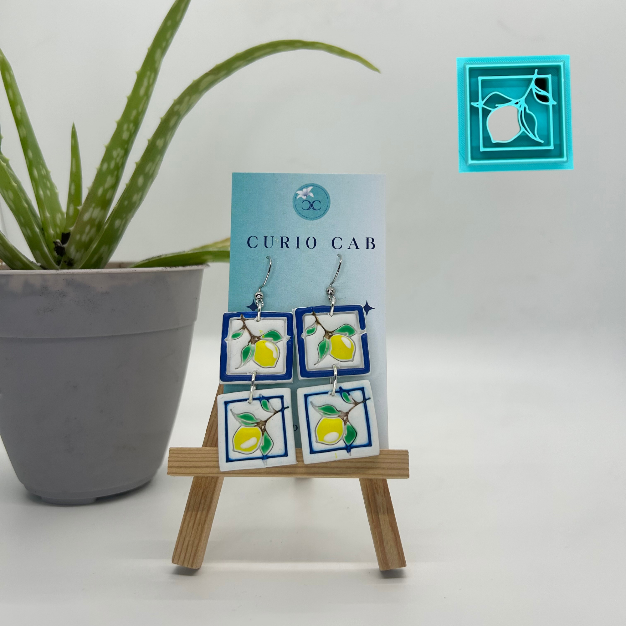 Curio MASTER Monthly Subscription